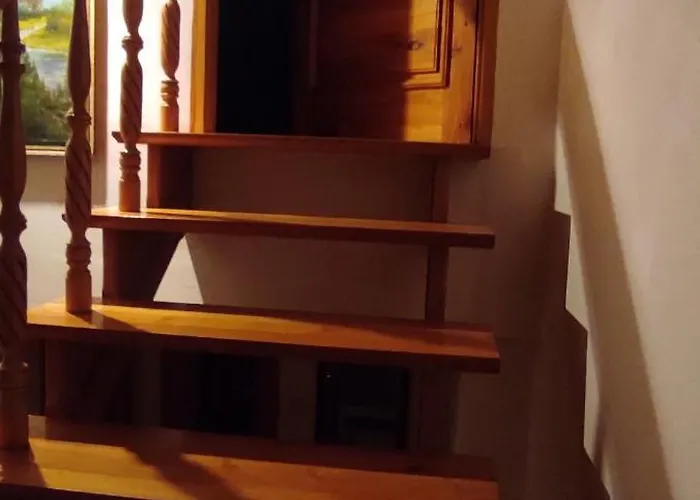 Adam Piwnica Séjour chez l'habitant